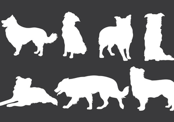Free Border Collie Icons Vector - Free vector #418687