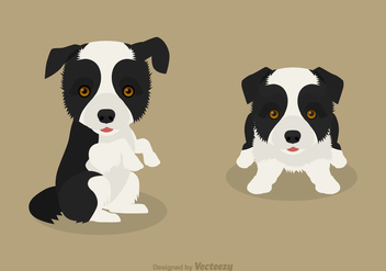 Free Vector Border Collie Puppies - бесплатный vector #420247