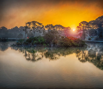 Foggy Sunrise at the Rookery - бесплатный image #421617