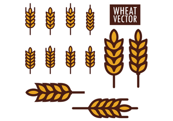 Wheat Vectors - бесплатный vector #424997