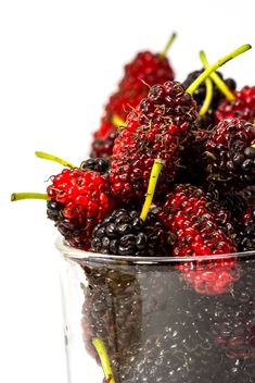 Fresh mulberries in glass - image gratuit #428787 