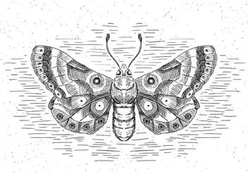 Free Hand Drawn Vector Butterfly - vector #429517 gratis