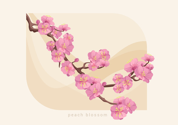 Peach Blossom Vector Illustration - Kostenloses vector #430447