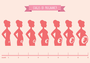 Vector Illustration of Pregnant Female Silhouettes - Free vector #431097