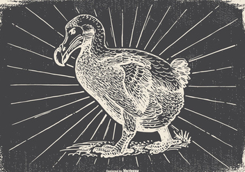 Vintage Dodo Bird Illustration - vector gratuit #433197 