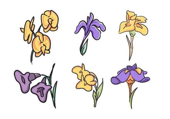 Free Beautiful Iris Flower Vector - vector gratuit #433277 
