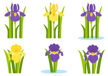 Flat Purple And Yellow Iris Flower Vector Set - Free vector #433477
