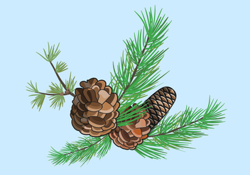 Vector Pine Cones Illustration - бесплатный vector #434717