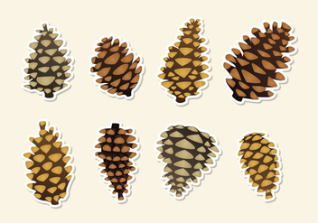 Pine cones Vector - Kostenloses vector #434897