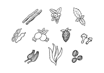 Free Herbs For Medicine In Hand Drawn Vector - Kostenloses vector #435747