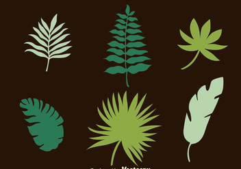 Palm Leaf Collection Vectors - Free vector #435917