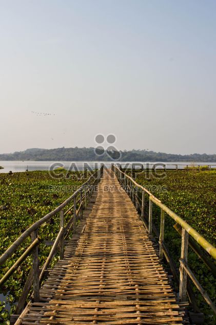 bamboo bridge - image gratuit #439037 