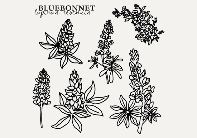 Botanical Bluebonnet - бесплатный vector #444317