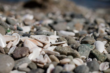 Background with different color sea stones - Free image #448417