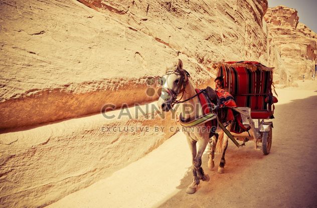 Bedouin carriage in Siq passage to Petra - Free image #449587