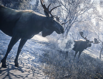 TheHunter: Call of the Wild / Welcome to the Moose Meeting - image #449947 gratis
