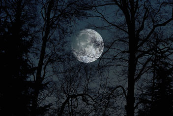 moonstruck - Free image #450317