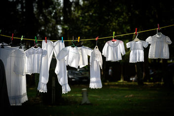 Laundry Day ;-) - Free image #450547