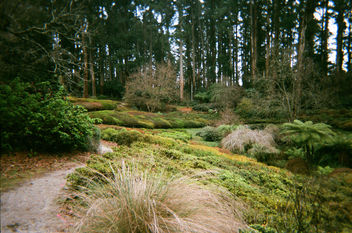 National Rhododendron Gardens in winter - image #455447 gratis