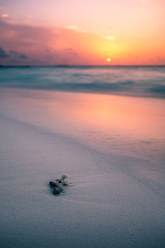 Sunset on the beach - Maldives - Travel photography - бесплатный image #455527