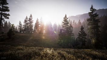 Far Cry 5 / The Hills and the Mountains - image gratuit #455777 