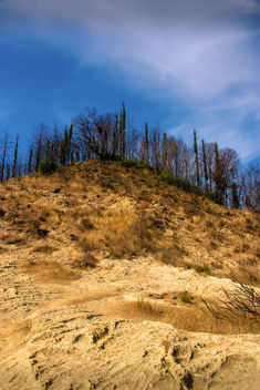 Volcanic ash on a hill - image #457047 gratis