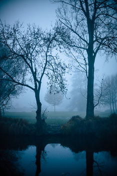 Mysterious morning - image gratuit #457207 