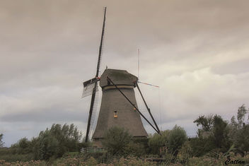 Holland - windmills of Kinderdijk - image #457497 gratis