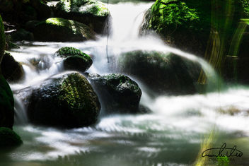 Little Water #5 - Wooroonooran National Park - image gratuit #457557 