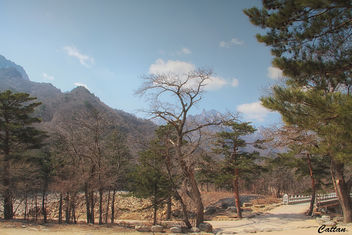 -Seoraksan National Park, Jeju, South Korea - бесплатный image #457637