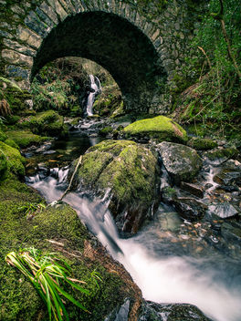 Tollymore Forest Park - United Kingdom - Landscape photography - image #458107 gratis