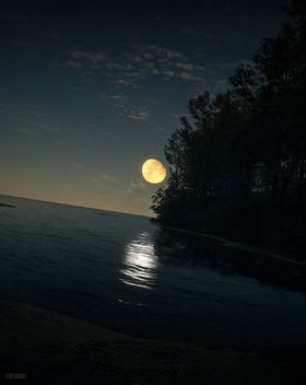 TheHunter: Call of the Wild / The Moon Shines Bright - Free image #458347