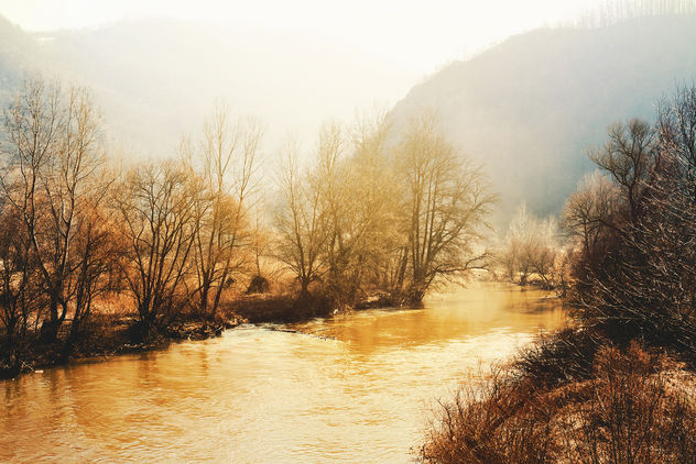 West Morava River - image #459307 gratis