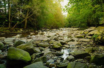 A rocky riverbed in the Highlands of Scotland - бесплатный image #461247