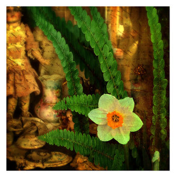 Flower and Ferns - image #462417 gratis