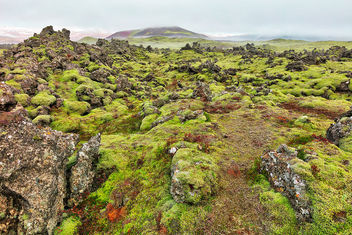 Of Moss, Mist, and Rugged Rocks - Free image #464307