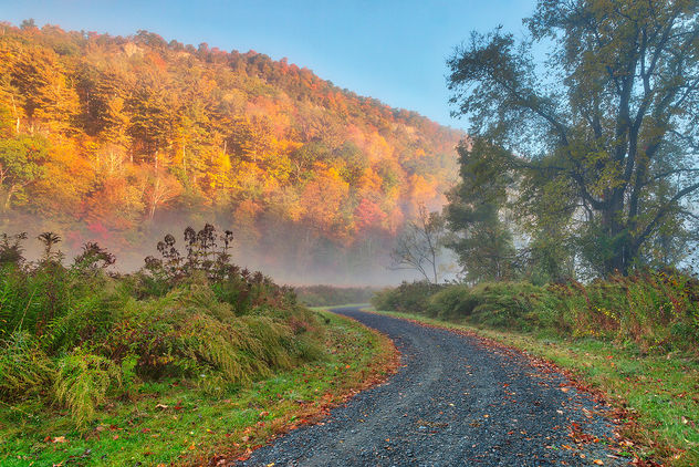 Misty Autumn McDade Trail - image gratuit #464567 