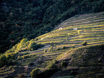 Fully - Valais, Switzerland - Landscape photography - Kostenloses image #464577