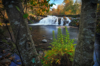 Scott's Mills Falls - image gratuit #465117 