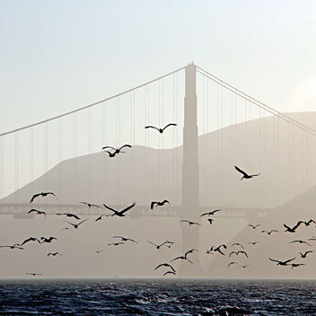 San Francisco, California, USA - бесплатный image #465787