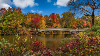Bow Bridge, Central Park, New York - Kostenloses image #467577