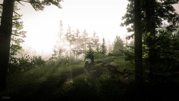 Red Dead Redemption 2 / A Rainy Evening - Kostenloses image #468217