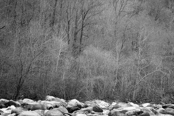 (River), stones and trees. Best viewed full resolution - Kostenloses image #468527