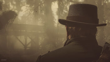 Red Dead Redemption 2 / Taking a Little Tour - image gratuit #471277 