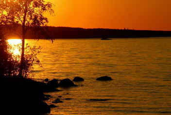 Orange sunset - image #471897 gratis