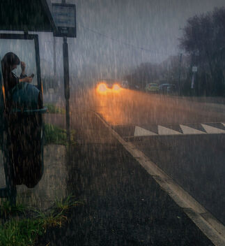 Of those mornings a rainy day - image gratuit #473847 