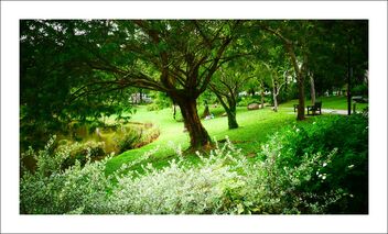 punggol park - greenery - image gratuit #474437 