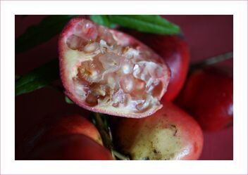 Pomegranates - image gratuit #476177 