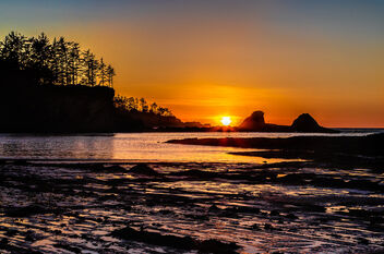 Low tide at Sunset Bay - image gratuit #477817 