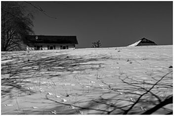 Spuren im Schnee - бесплатный image #478297